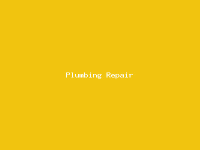 Premium Plumbing Repai